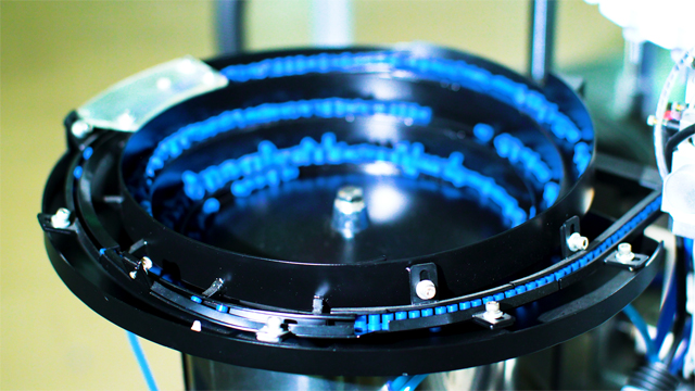 skålhætter feeding.jpg